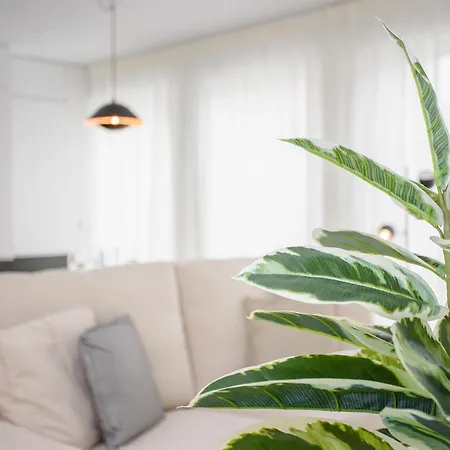 Liiiving In - Modern & Glam J 波尔图